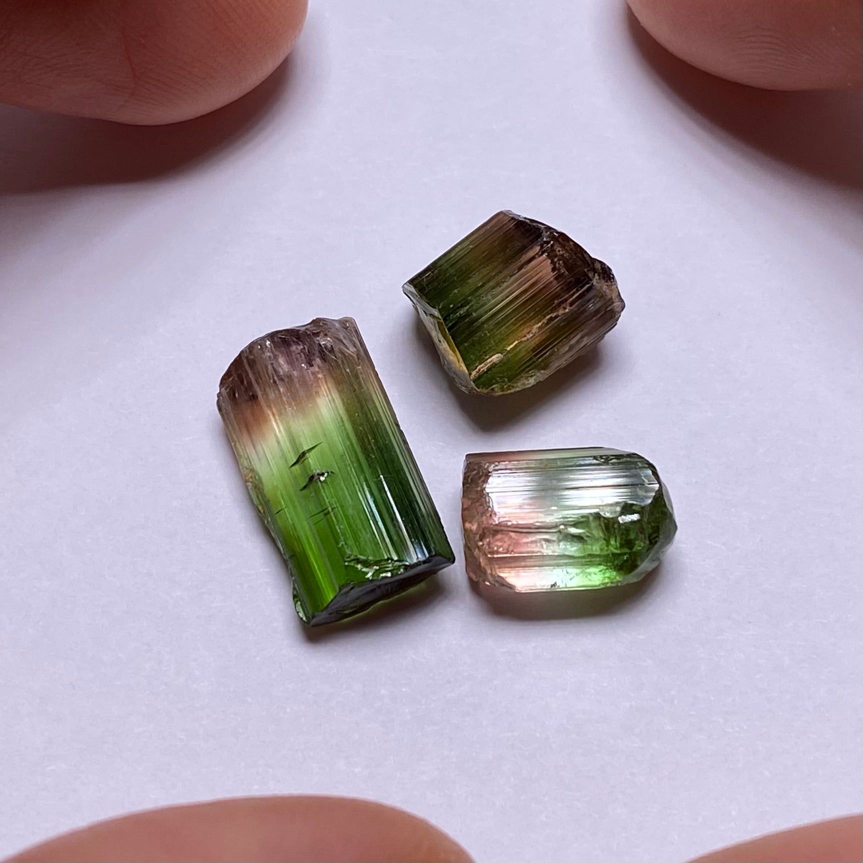 Bi-Color Tourmaline - Congo