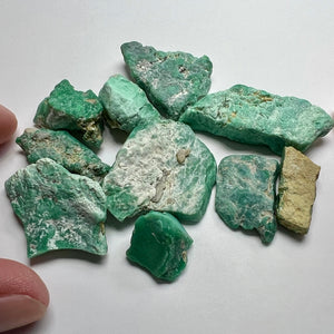 Variscite - Broken Arrow Mine, Nevada