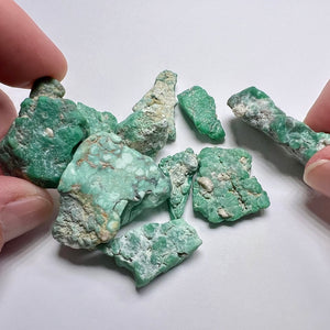 Variscite - Broken Arrow Mine, Nevada