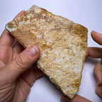 Webbed Variscite - Australia