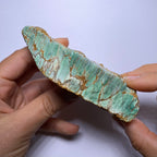 Webbed Variscite - Australia