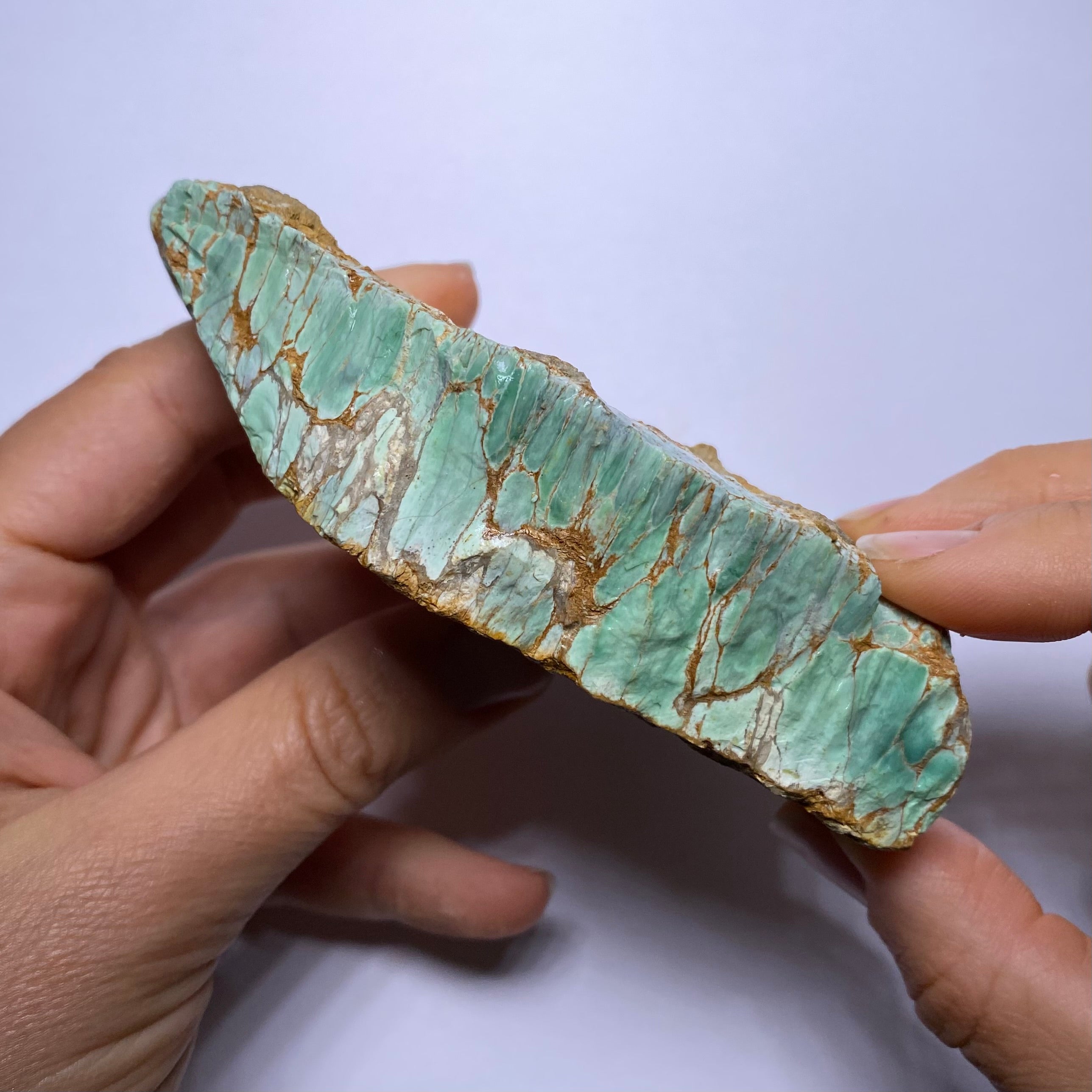 Webbed Variscite - Australia