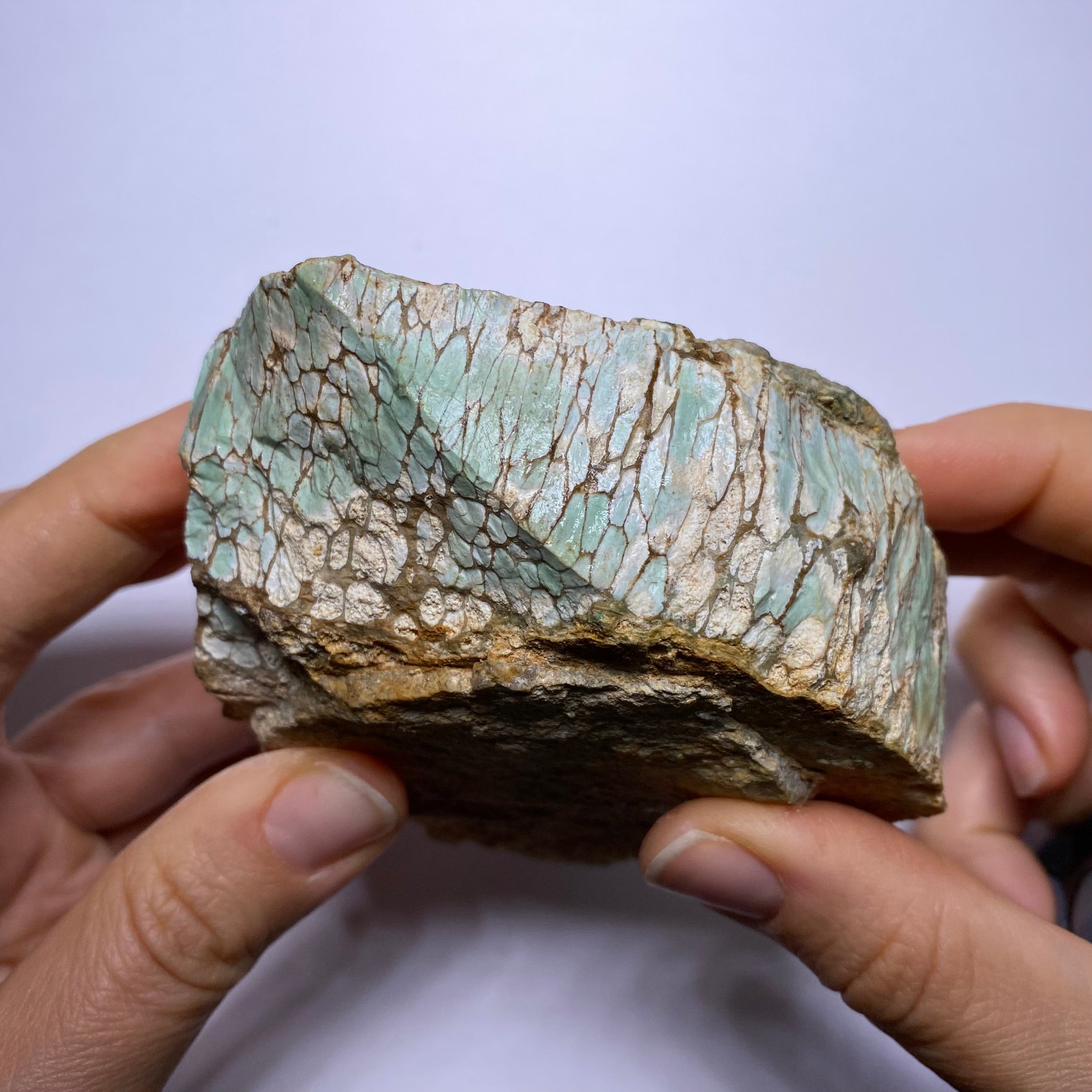 Webbed Variscite - Australia