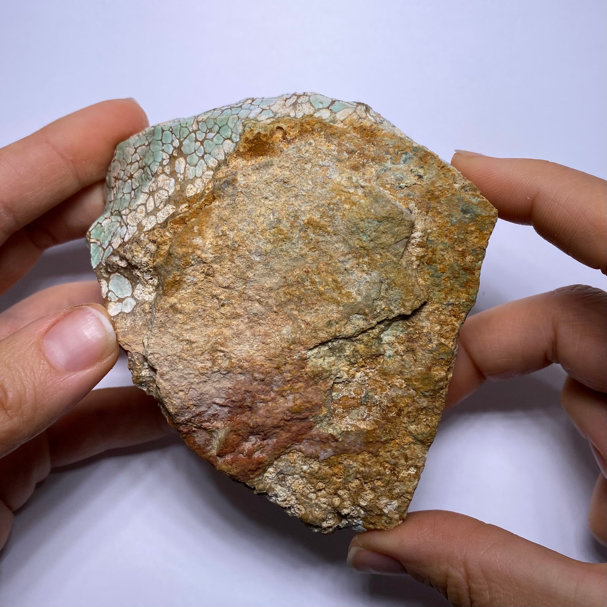 Webbed Variscite - Australia