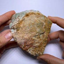 Load image into Gallery viewer, Webbed Variscite - Australia
