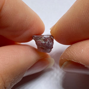 Mozambique Zircon