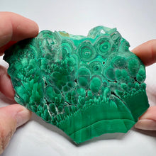 Load image into Gallery viewer, Malachite - Congo
