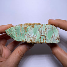 Load image into Gallery viewer, Webbed Variscite - Australia
