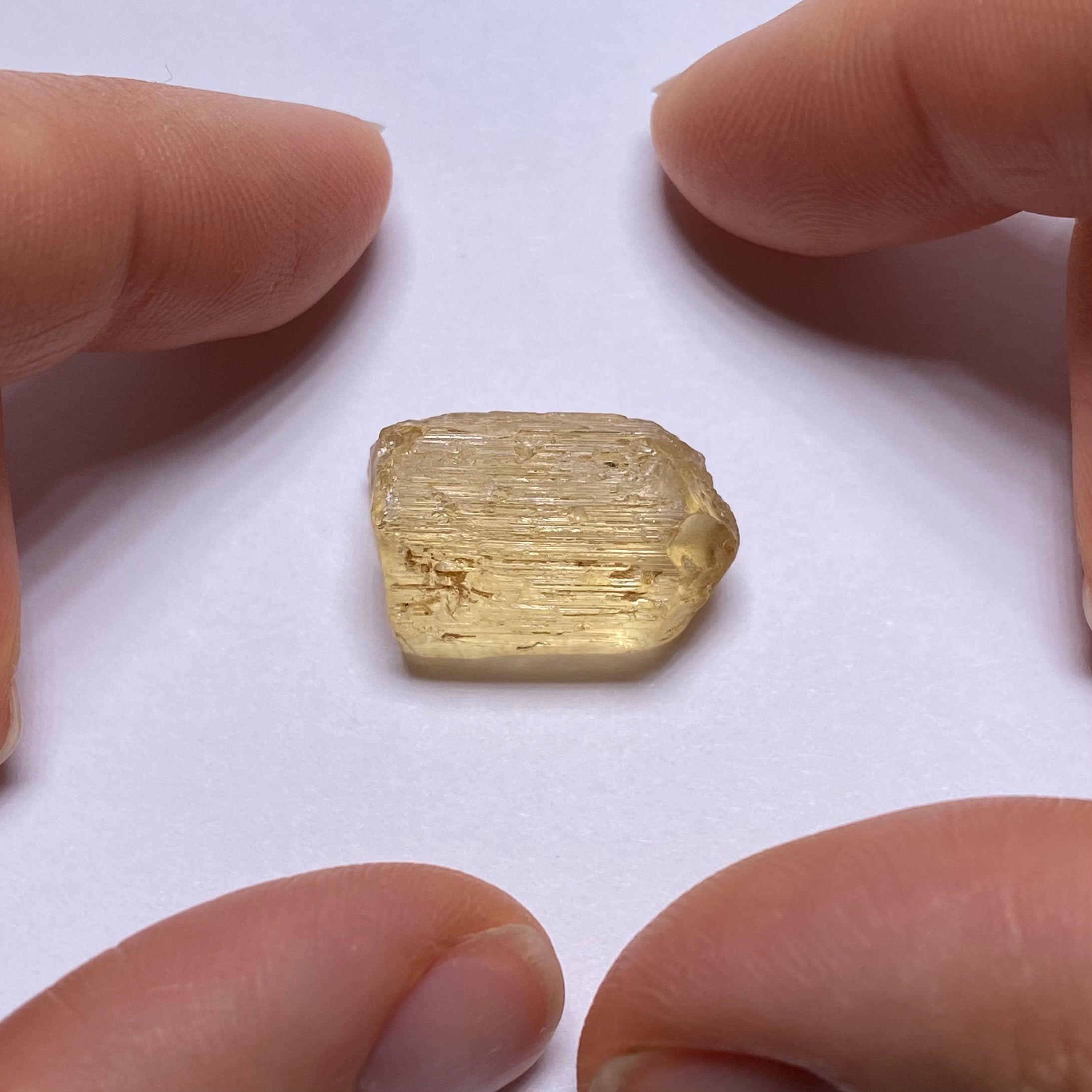 Golden Scapolite - Tanzania