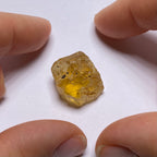 Golden Scapolite - Tanzania