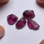 Rhodolite - Tanzania