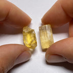 Golden Scapolite - Tanzania