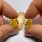 Golden Scapolite - Tanzania