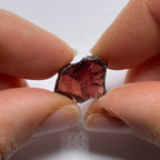 Mozambique Zircon
