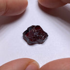 Mozambique Zircon