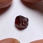 Mozambique Zircon