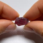 Rhodolite - Tanzania