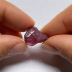 Rhodolite - Tanzania
