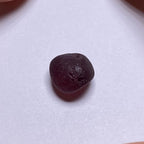 Rhodolite - Tanzania