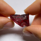 Rhodolite - Tanzania