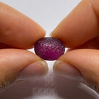 Rhodolite - Tanzania