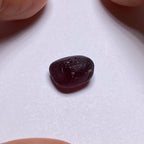 Rhodolite - Tanzania