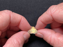 Load image into Gallery viewer, Rainbow Moonstone - Madagascar
