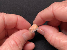 Load image into Gallery viewer, Rainbow Moonstone - Madagascar
