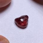 Lindi Garnet - Tanzania