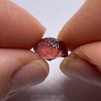 Lindi Garnet - Tanzania