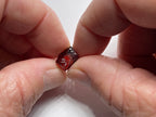 Malaya Garnet – Umba Valley, Tanzania