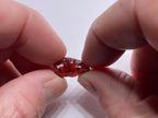 Malaya Garnet – Umba Valley, Tanzania
