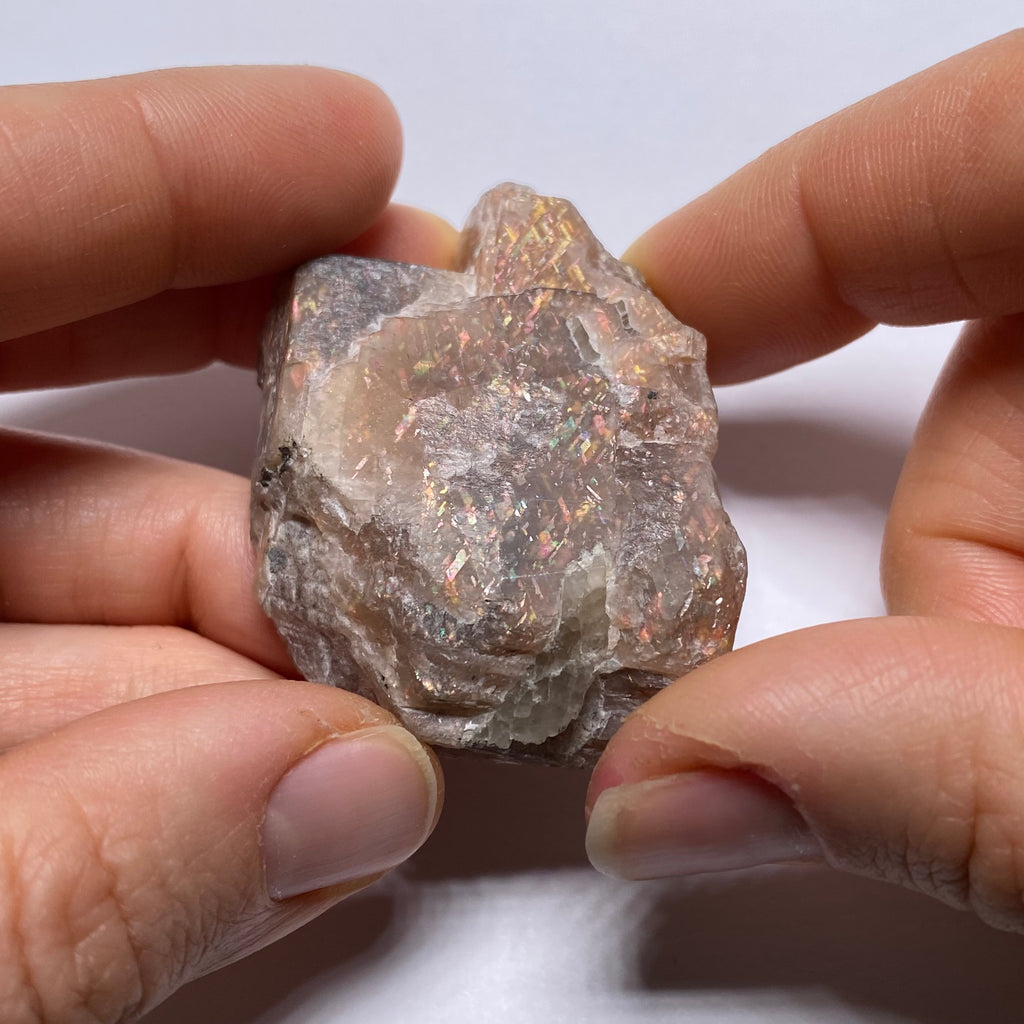 Lattice Sunstone - Tanzania