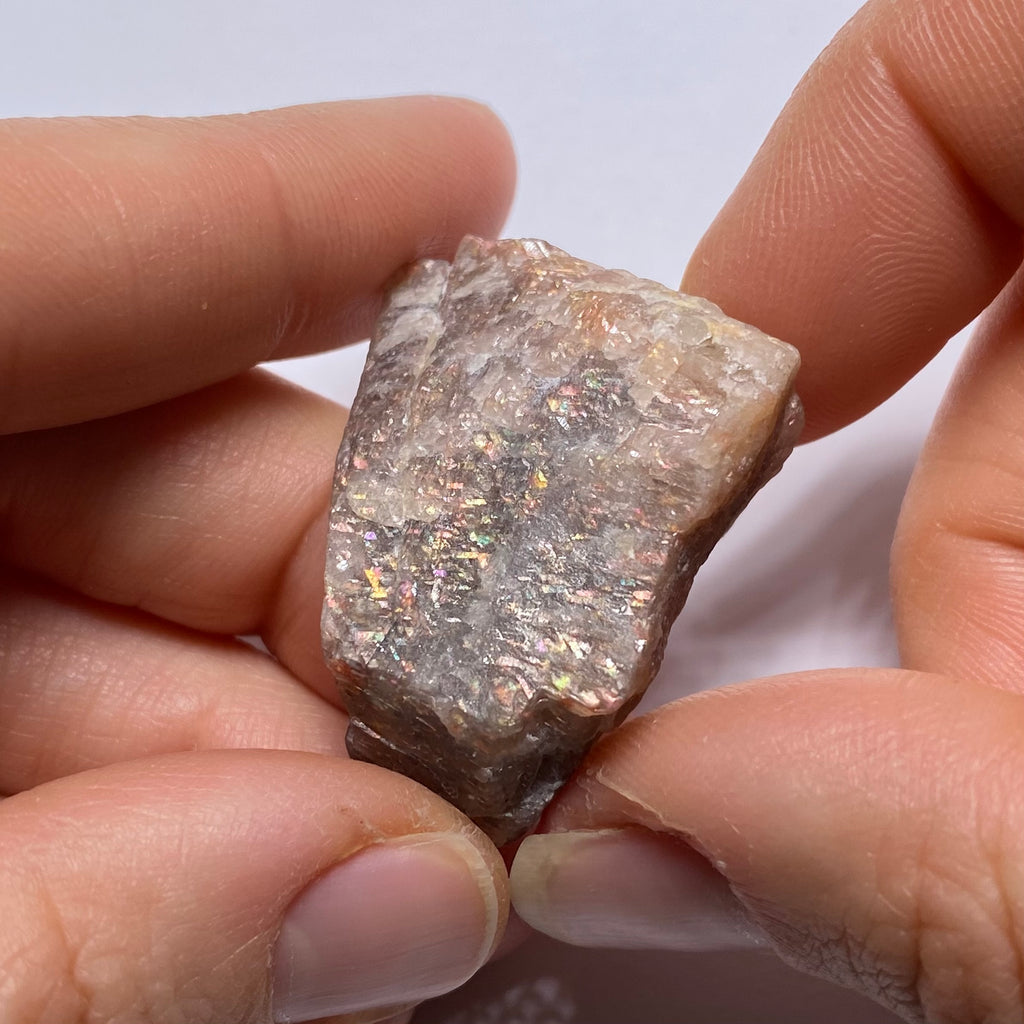 Lattice Sunstone - Tanzania