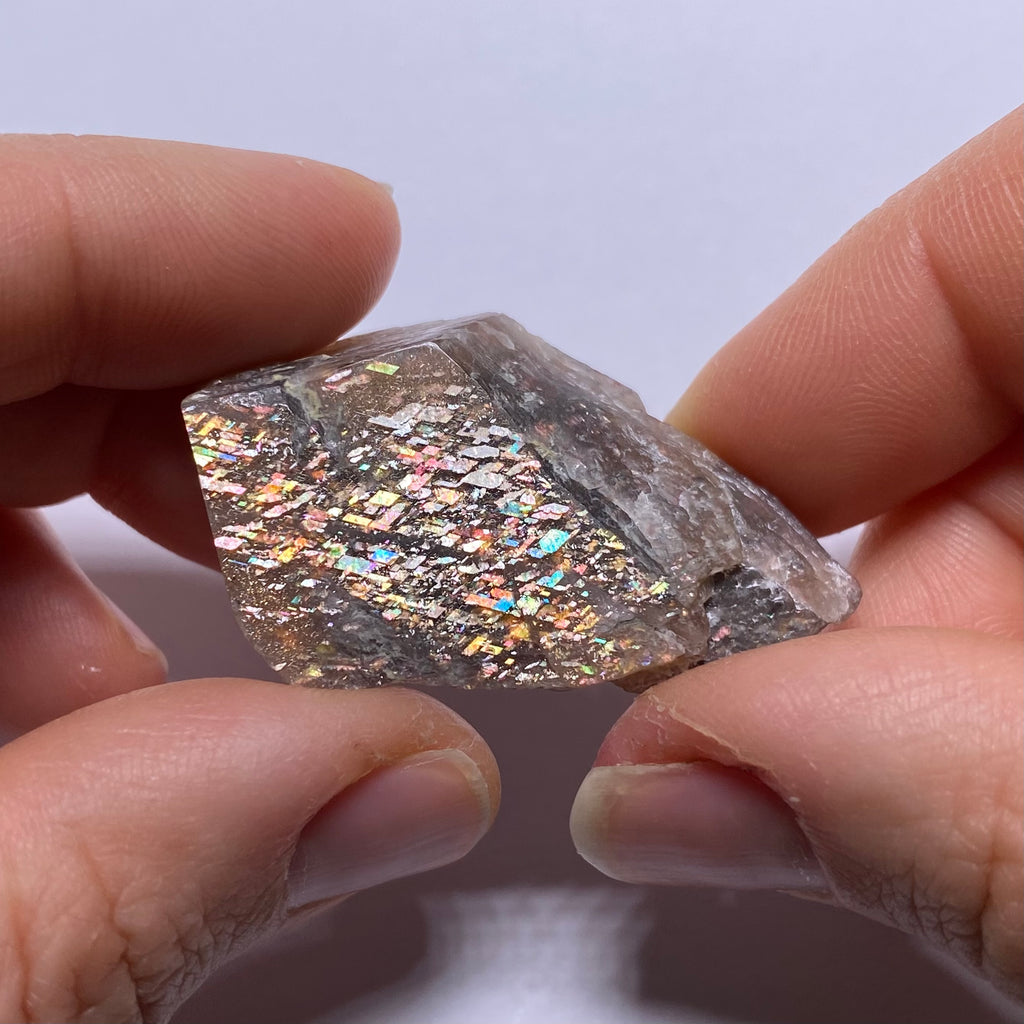 Lattice Sunstone - Tanzania