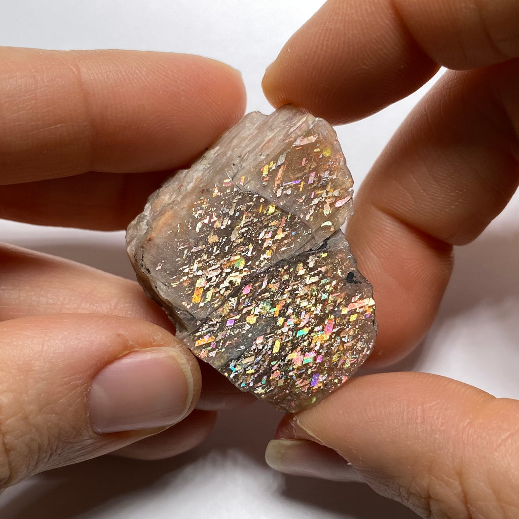 Lattice Sunstone - Tanzania