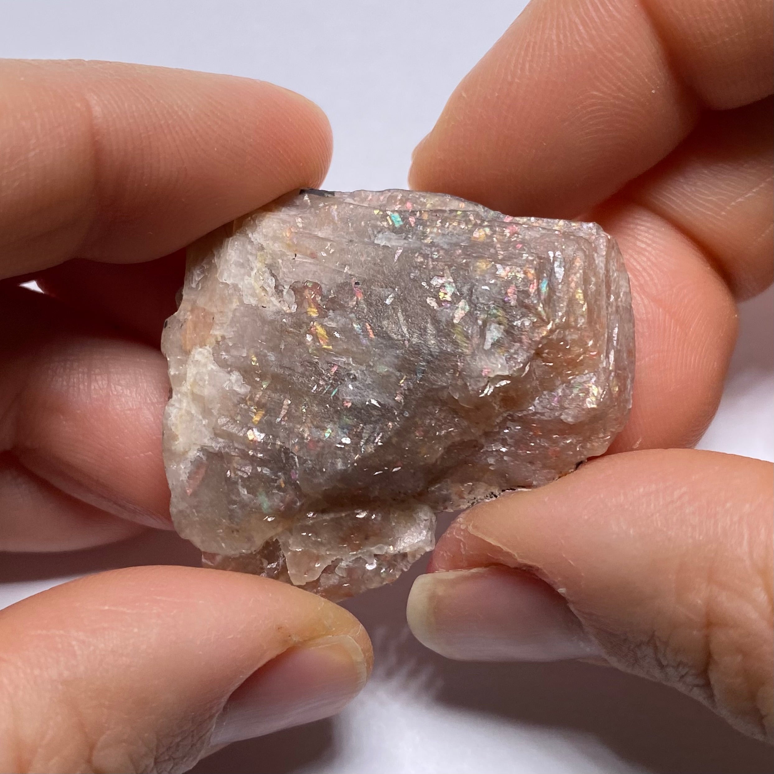 Lattice Sunstone - Tanzania