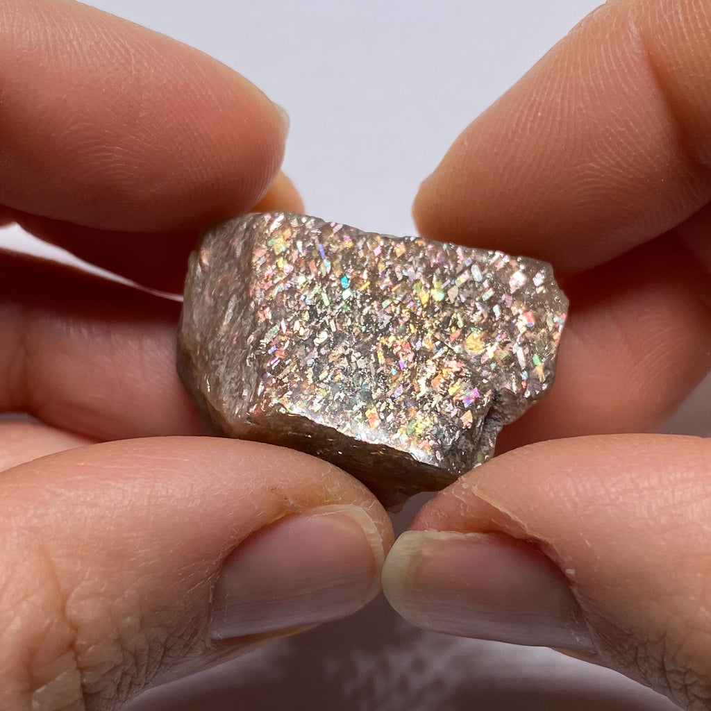 Lattice Sunstone - Tanzania