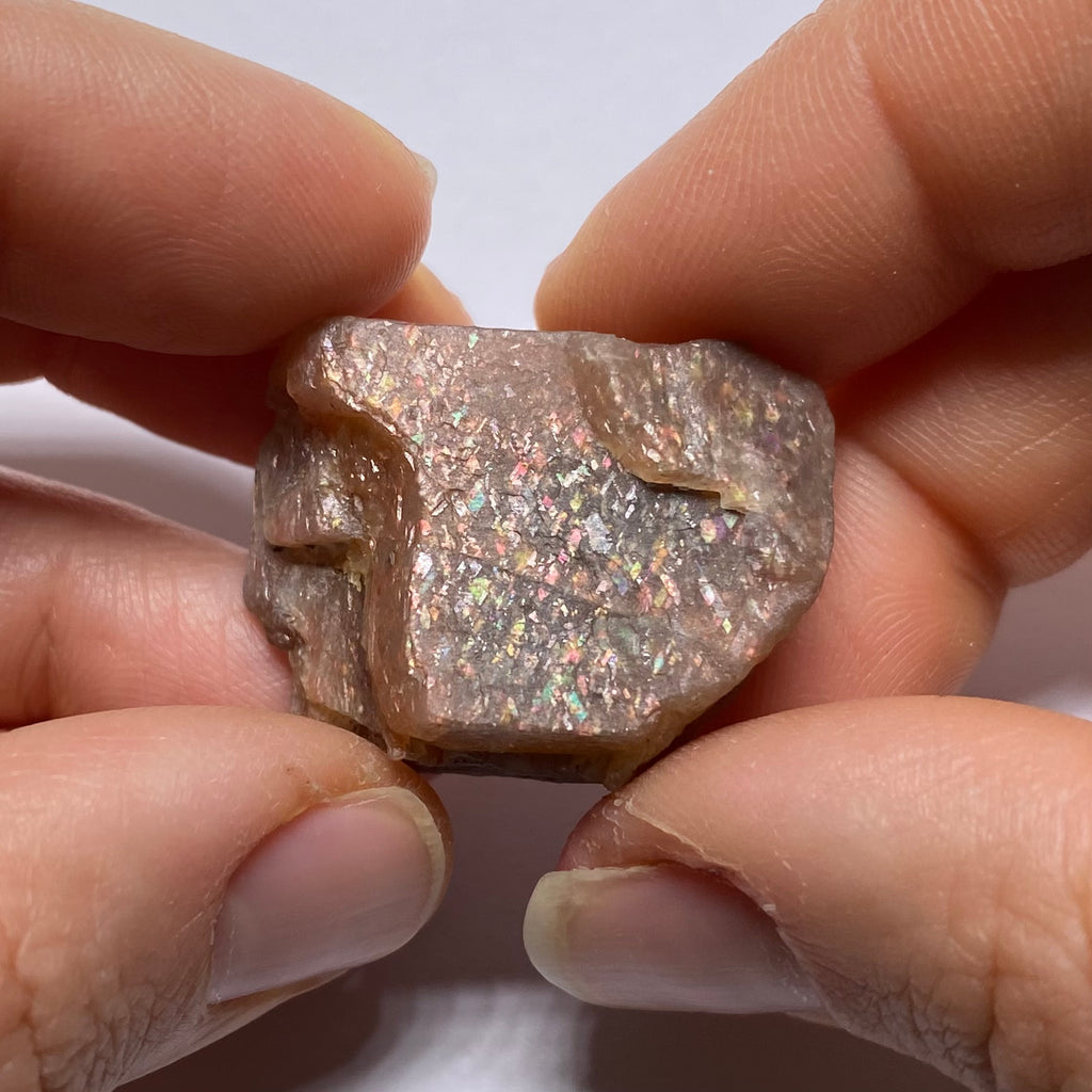 Lattice Sunstone - Tanzania