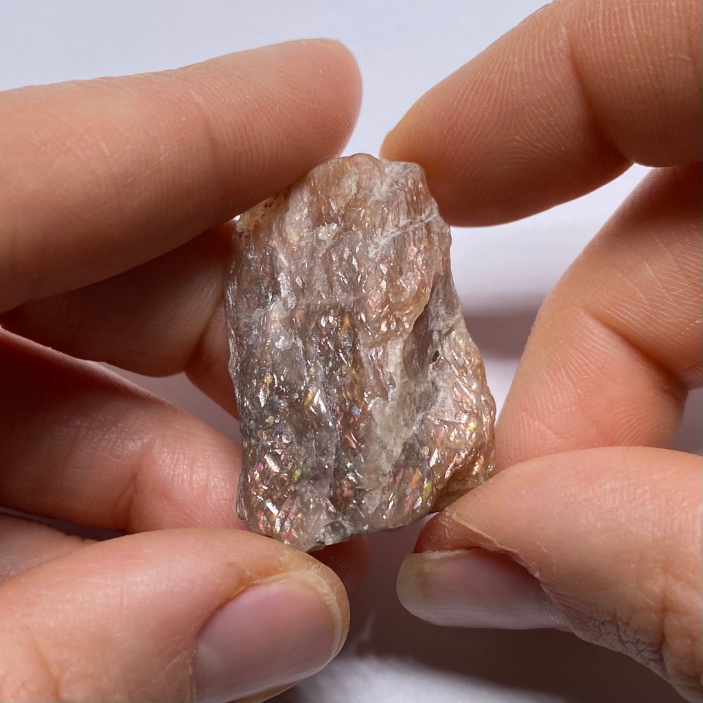 Lattice Sunstone - Tanzania