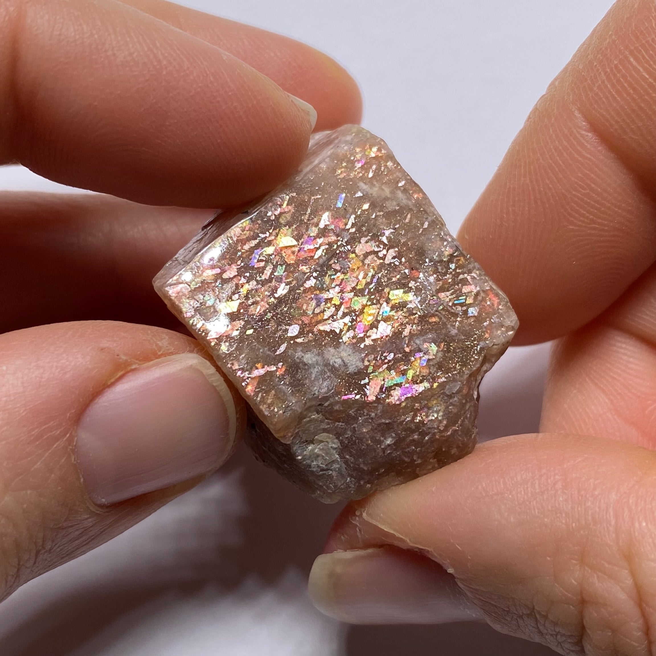 Lattice Sunstone - Tanzania