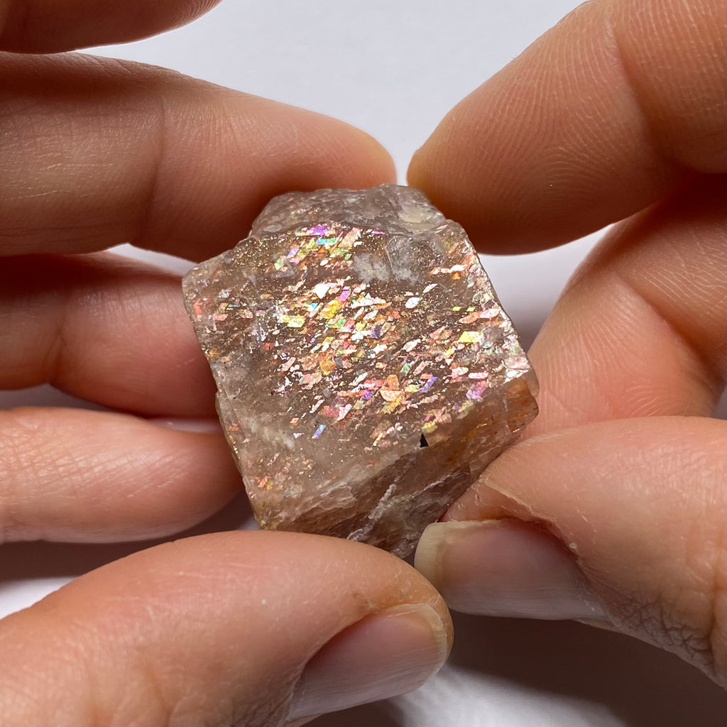 Lattice Sunstone - Tanzania