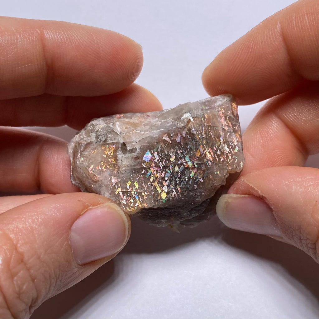 Lattice Sunstone - Tanzania