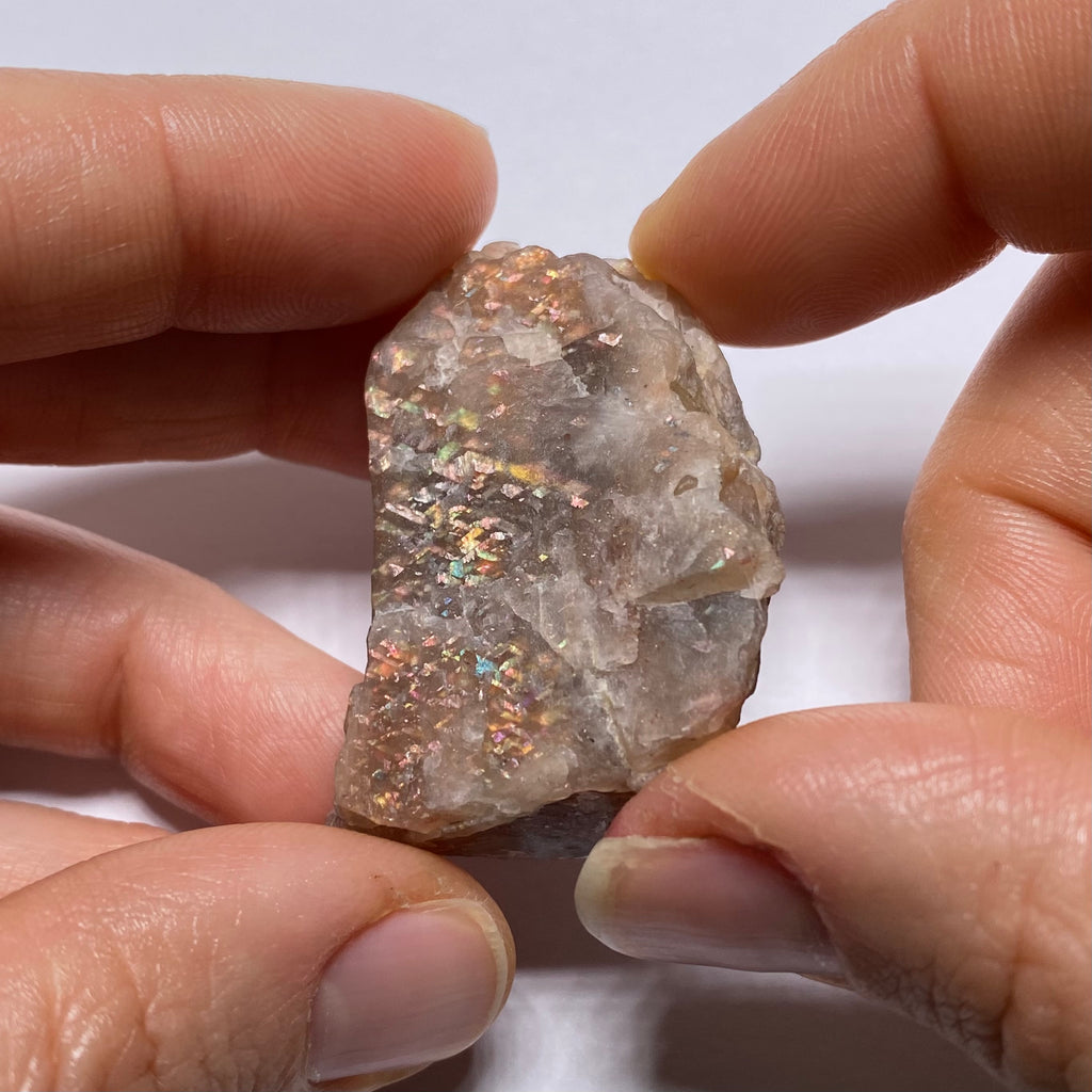 Lattice Sunstone - Tanzania