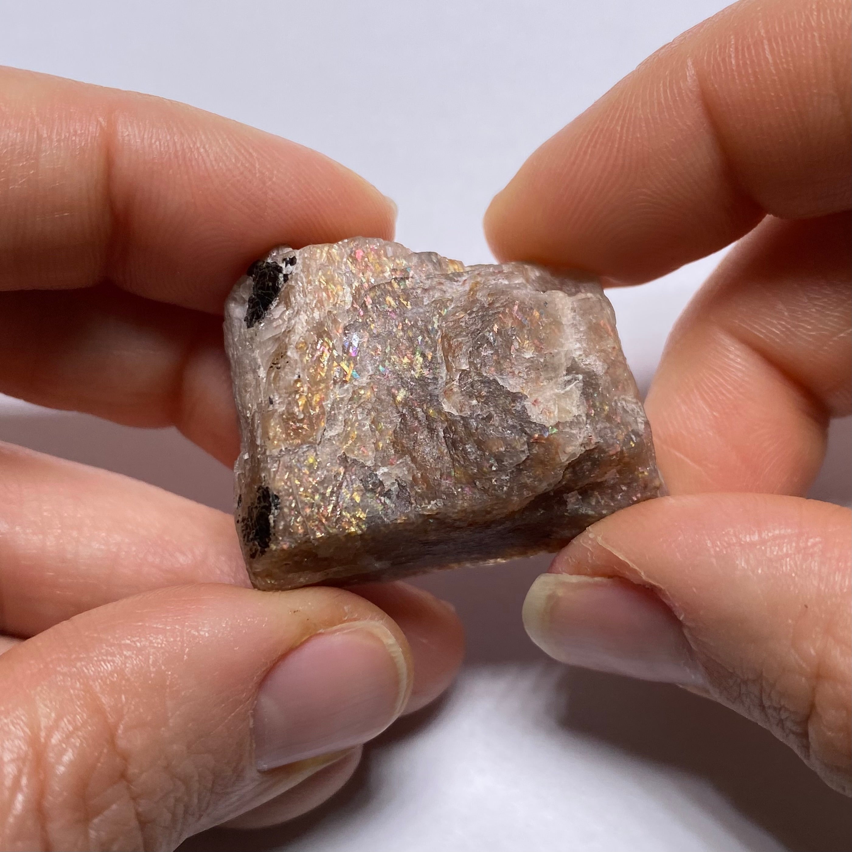 Lattice Sunstone - Tanzania