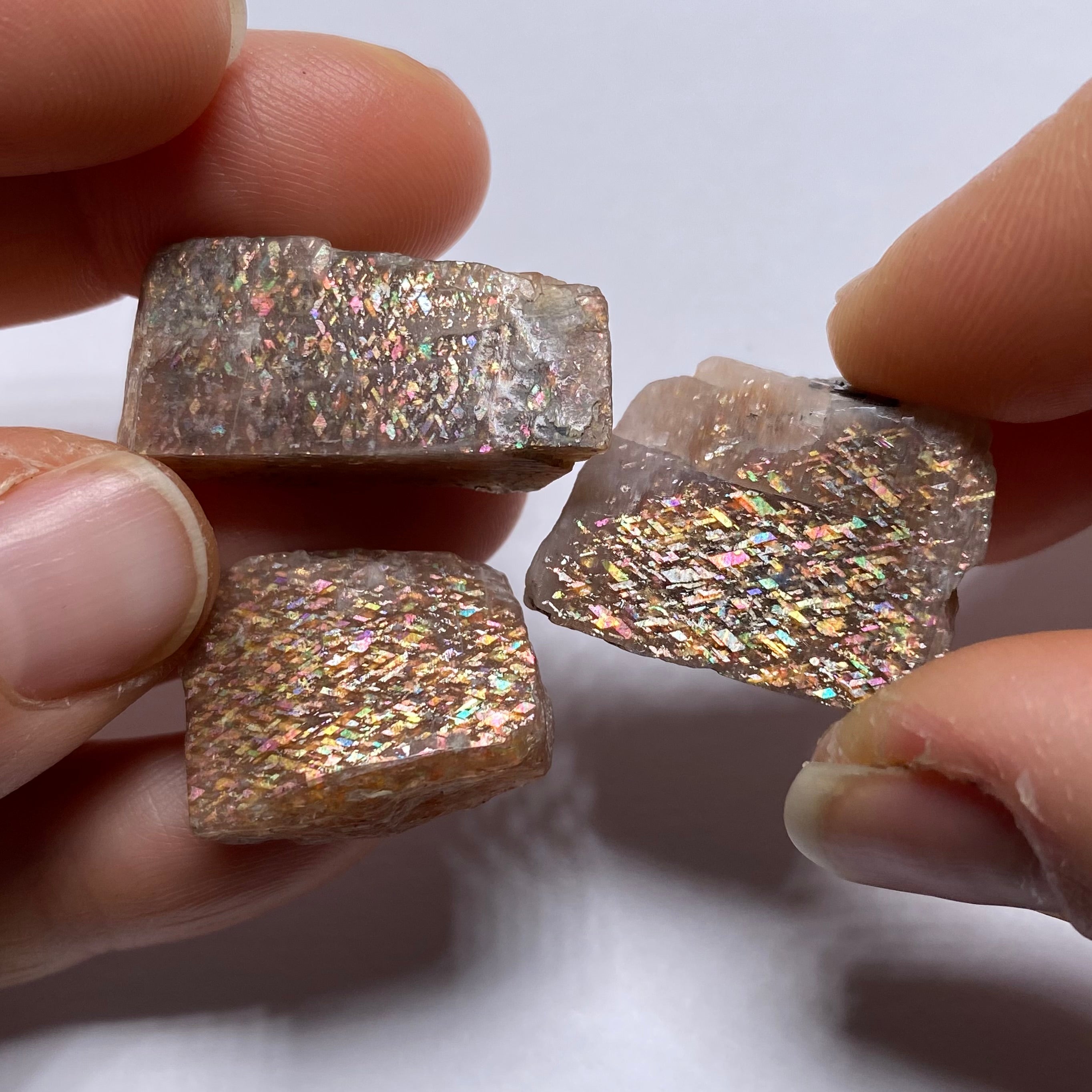 Lattice Sunstone - Tanzania