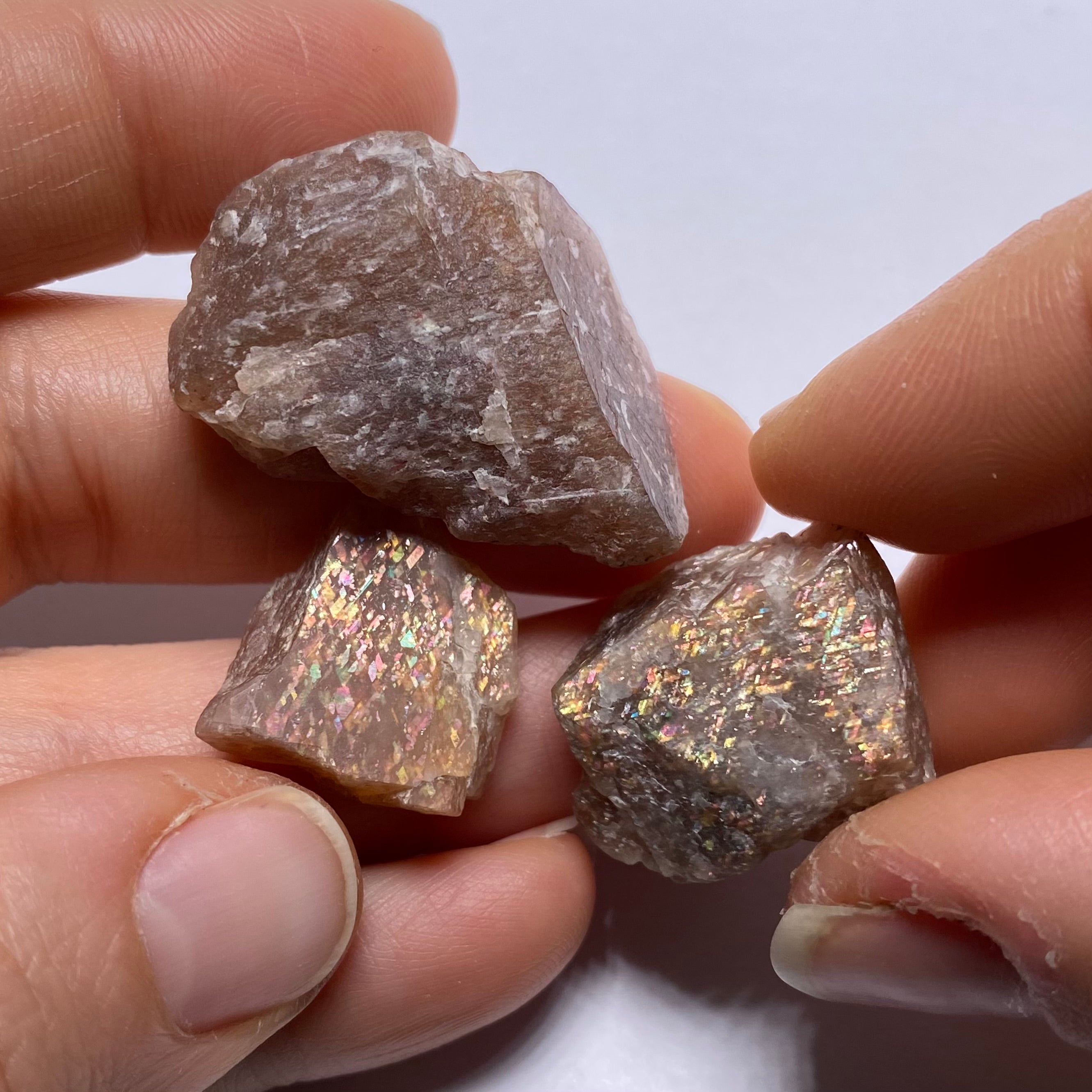 Lattice Sunstone - Tanzania