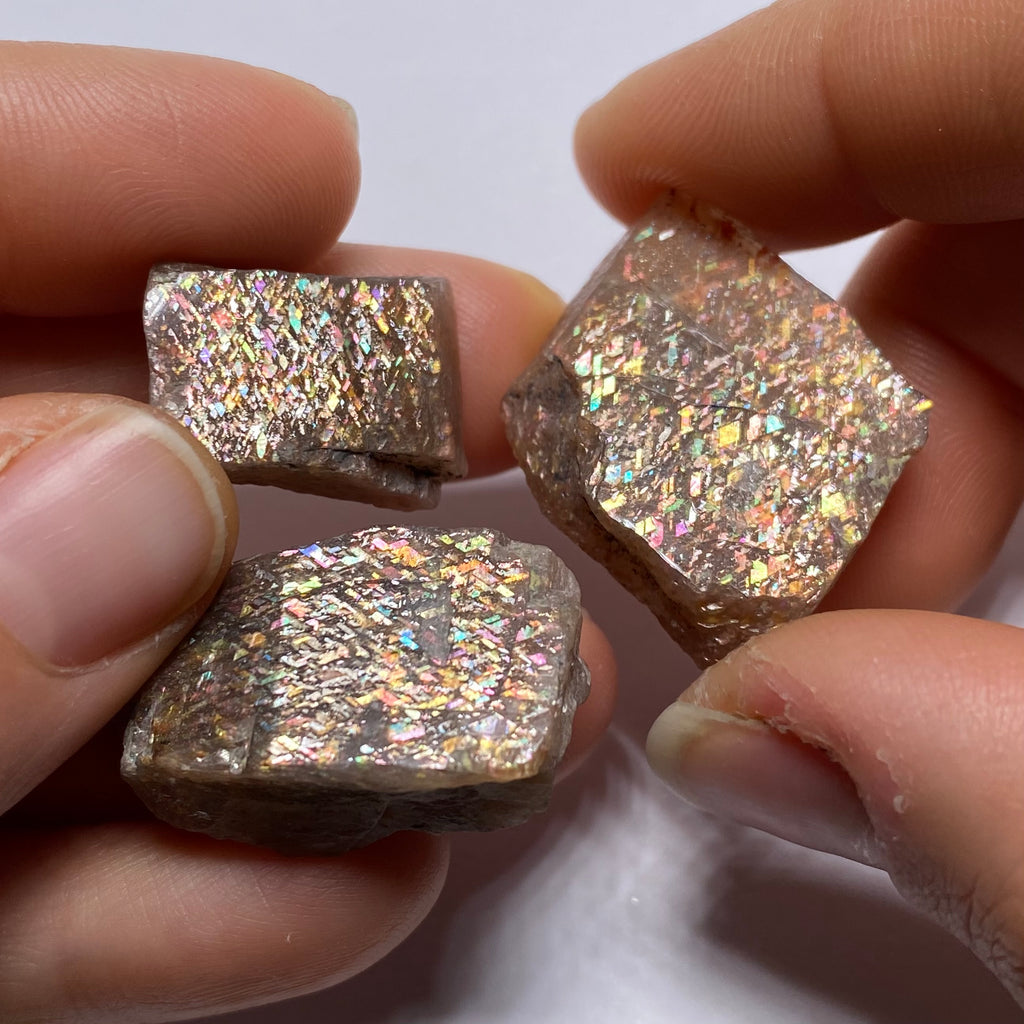 Lattice Sunstone - Tanzania