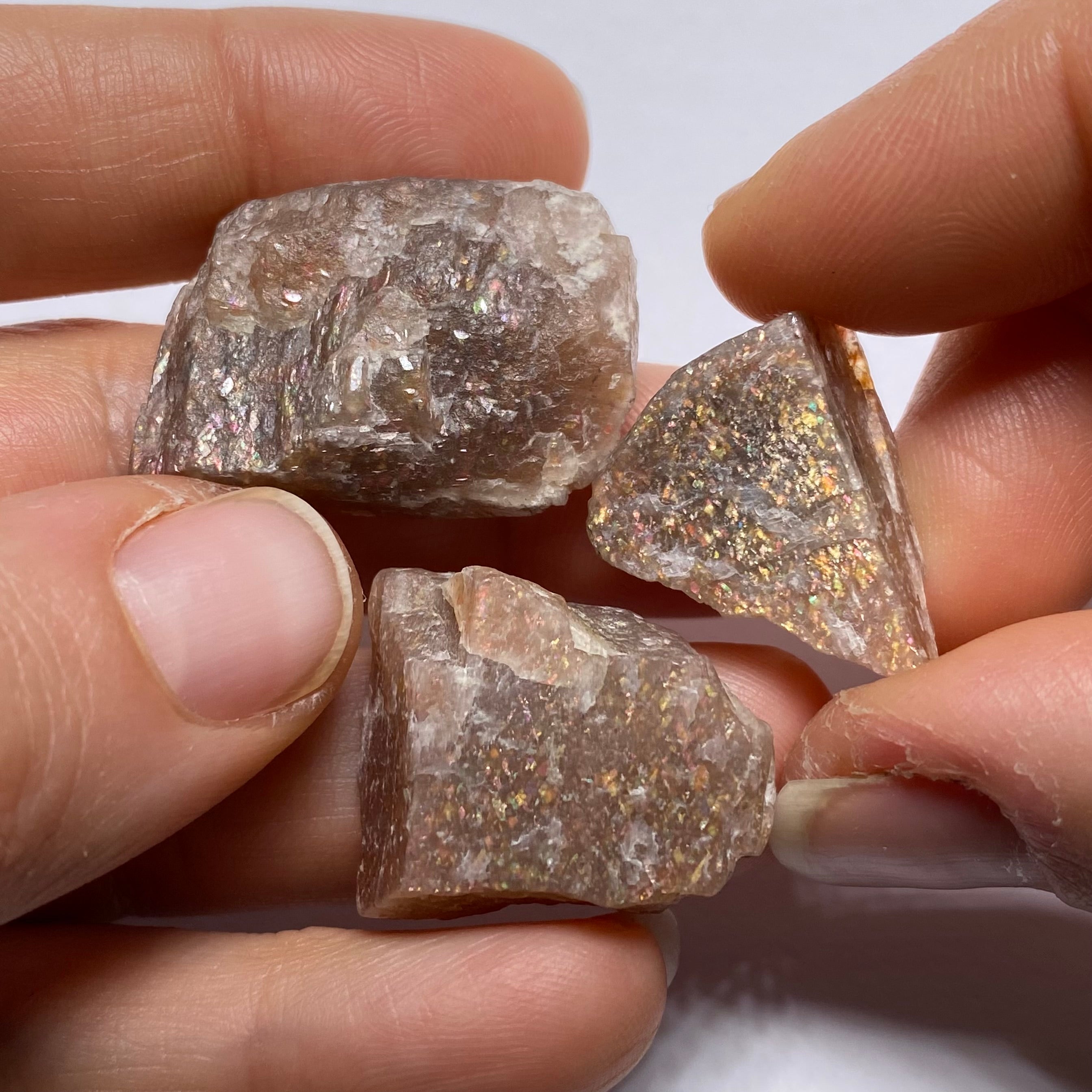 Lattice Sunstone - Tanzania