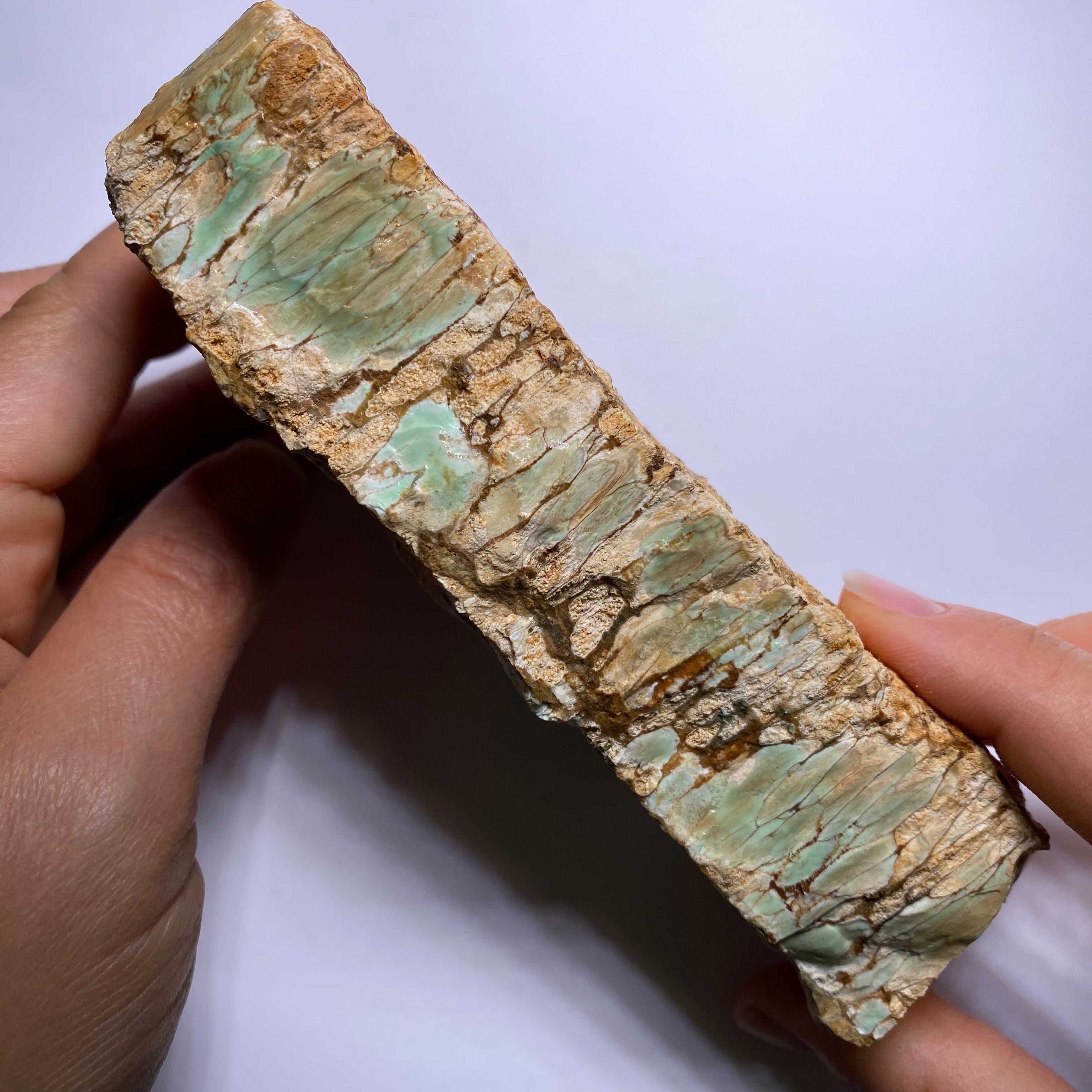 Webbed Variscite - Australia